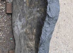 Hauakivi-KUP-425-67x52cm