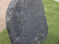 Kapakmens-lēts-304-58x87cm